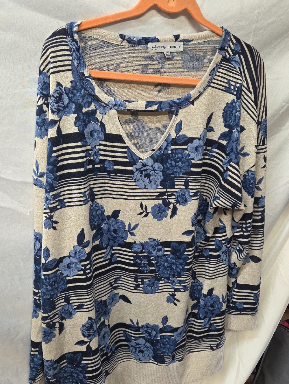 Absolutely Famous Blue Floral Stripe Long Sleeve Top Women's 2X